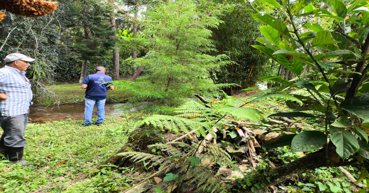 Consultoría en Gestión del Riesgo de Desastres